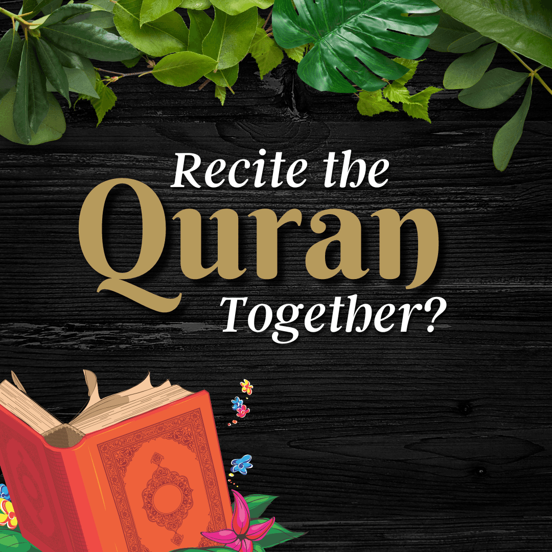 Muslamica Recite feature — recite the Quran together with companions