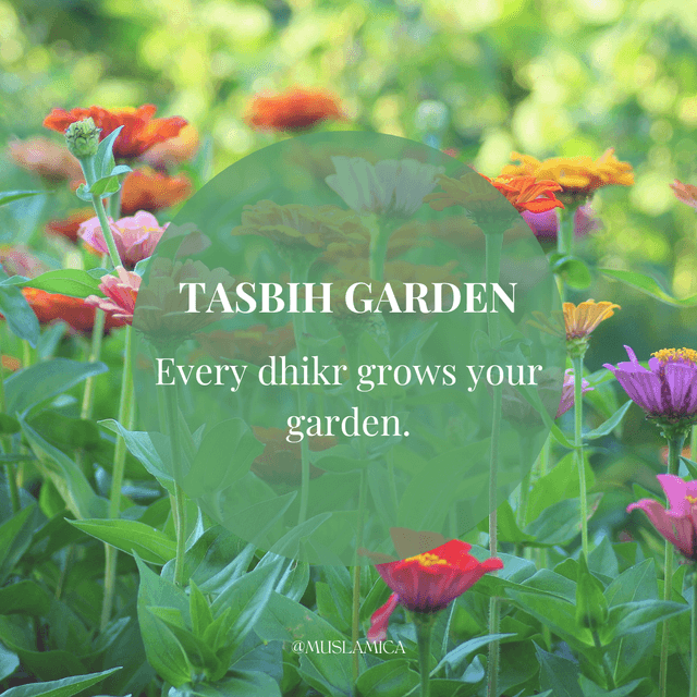 The Tasbih Garden: Turn Your Dhikr Into a Living Garden