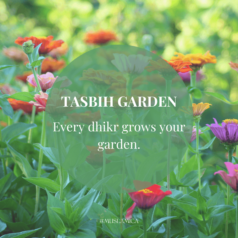 The Tasbih Garden: Turn Your Dhikr Into a Living Garden